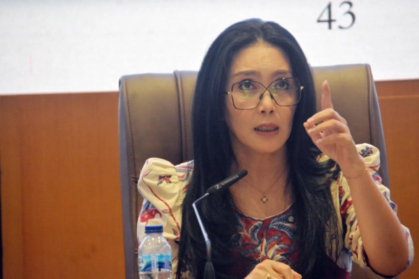 Rieke Kritik Dua Tahun Pemerintahan Prabowo, Soroti Lambannya Regulasi & Carut-marut Data