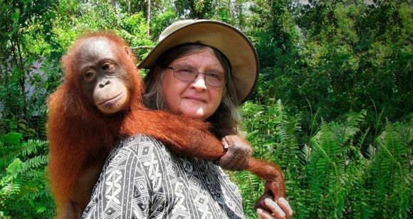PDI Perjuangan Sampaikan Duka Cita atas Wafatnya Birute Galdikas, “Ibu Orang Utan Kalimantan”