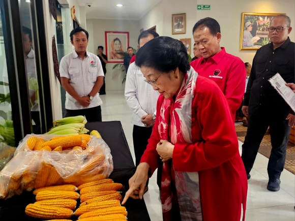 Megawati Soekarnoputri Apresiasi Kerja Kreatif GNTI yang Hasilkan Panen Jagung dengan Produktivitas Tinggi