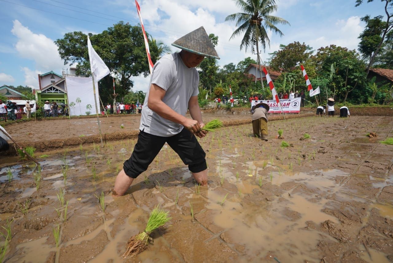 Ikut 'Nandur', Kang Hasan Ingin Petani Makmur
