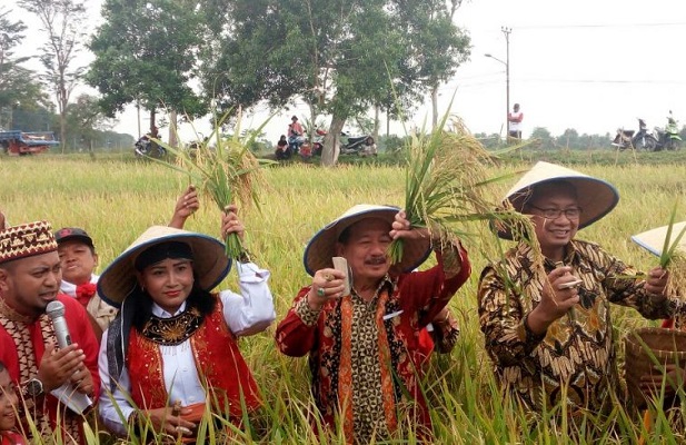 Herman HN: Bantu Petani dengan Pupuk Tepat Waktu