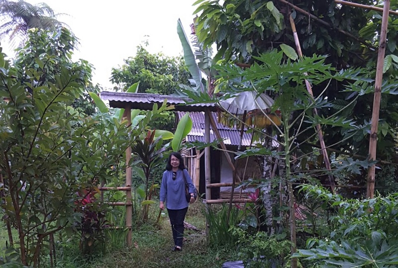 Hutan Hujan Tropis Memiliki Komunitas Tanaman Yang Memiliki