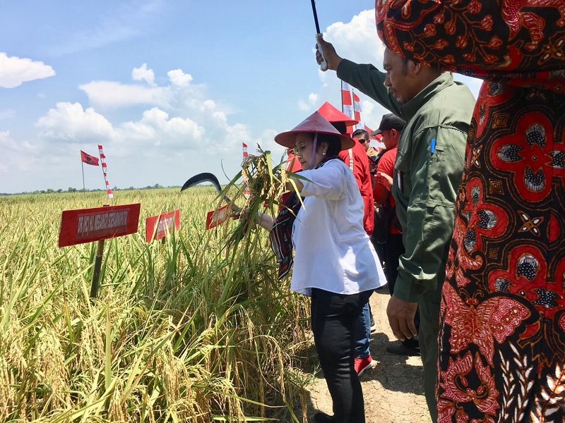 Resmikan Kebun Raya, Megawati Akui Hobinya Berkebun