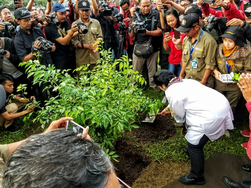 Megawati Ingin Perbanyak Lahan Perkebunan Raya 
