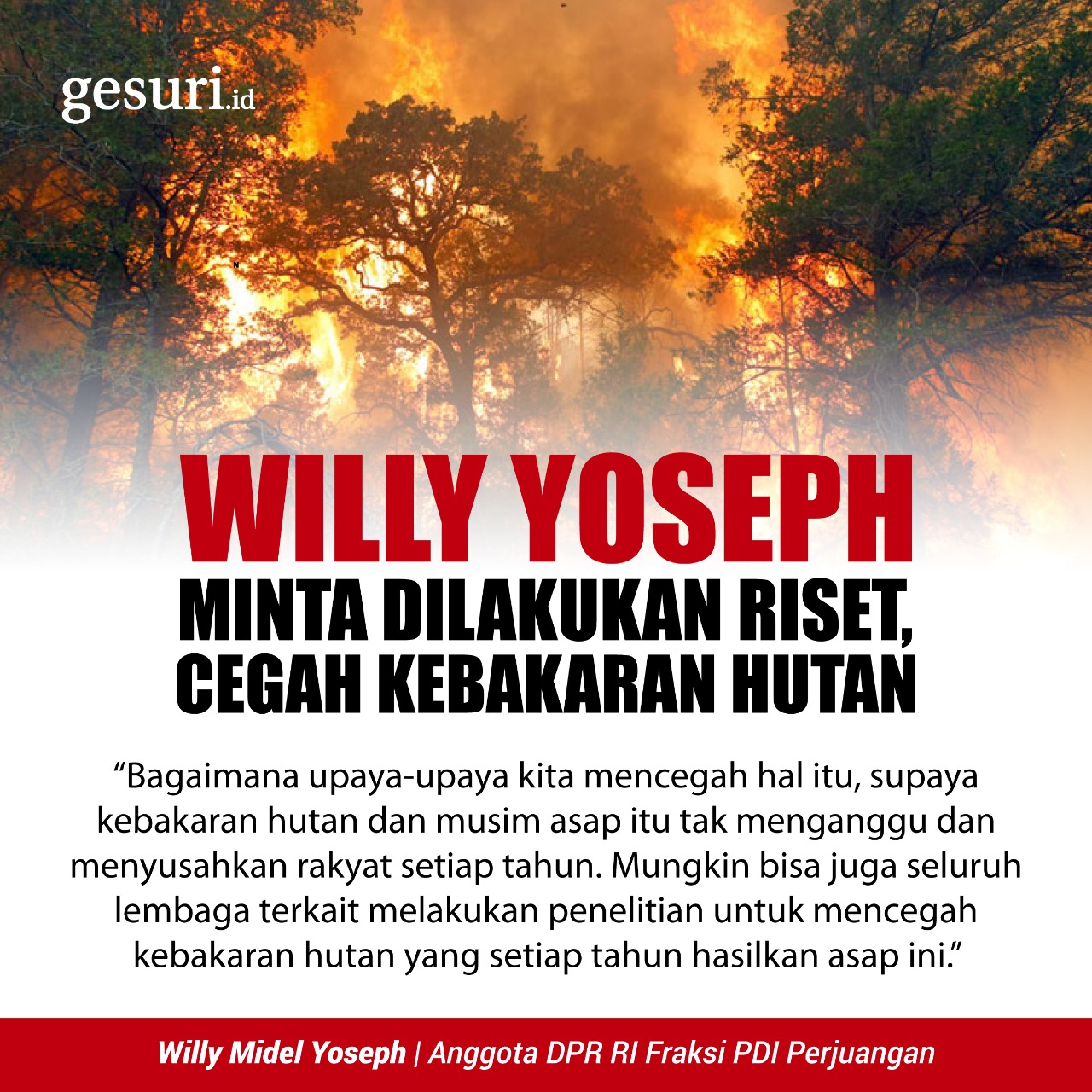Willy Yoseph Minta Dilakukan Riset, Cegah Kebakaran Hutan