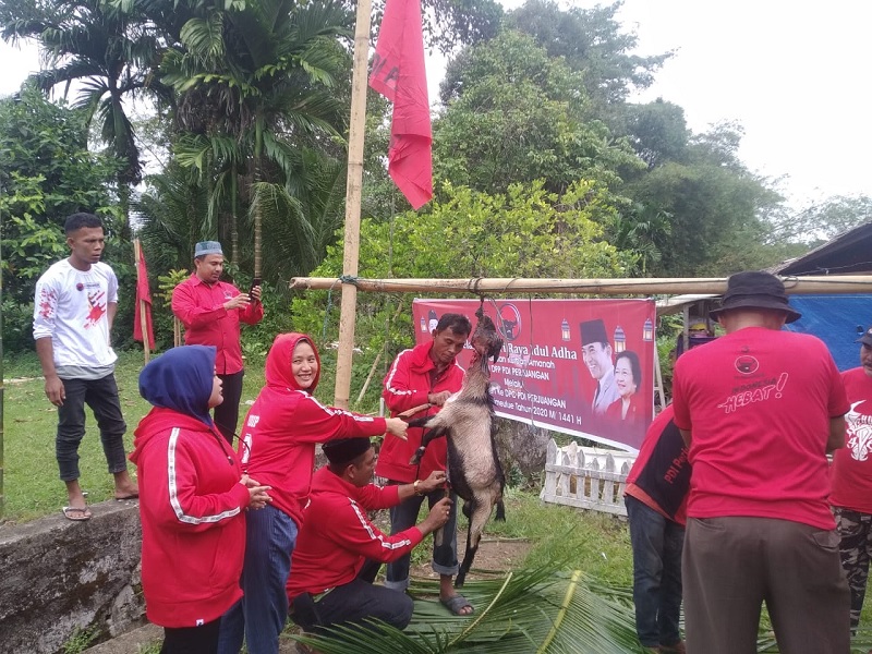 Banteng Simeulue Berkurban Sumbangan DPP PDI Perjuangan