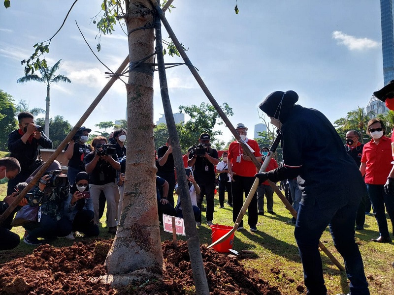 Risma Ingin Jakarta Makin Banyak Pohon Ditanam