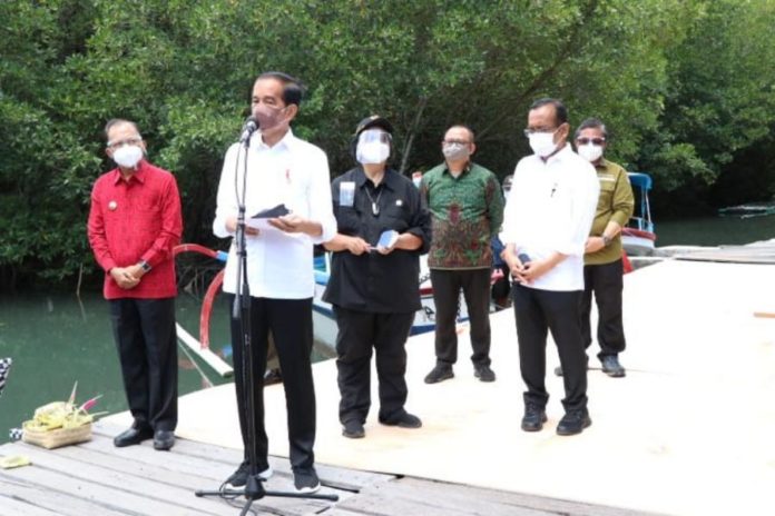 Jokowi Minta Daerah Lain Tiru Rehabilitasi Mangrove di Bali