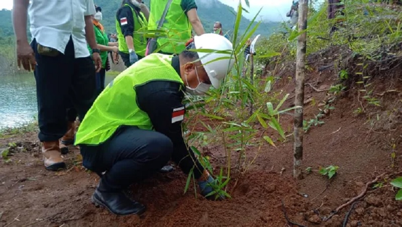 Bupati Sikka Robi Idong Ungkap Arti Penting Menanam Bambu 