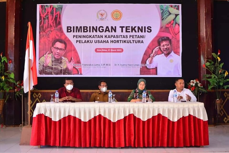 Ansy Lema: Petani Hortikultura Kesulitan Pasar & Pasca Panen