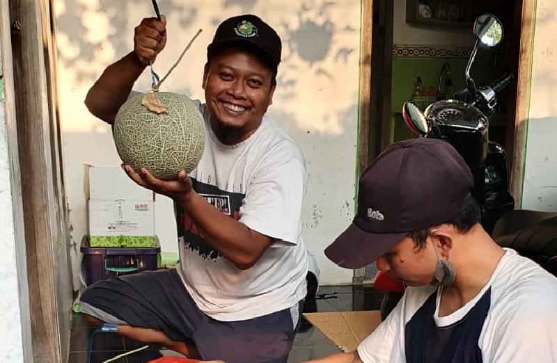 Dewi Sukses Cetak Petani Melon Milenial di Desa Adiwerna