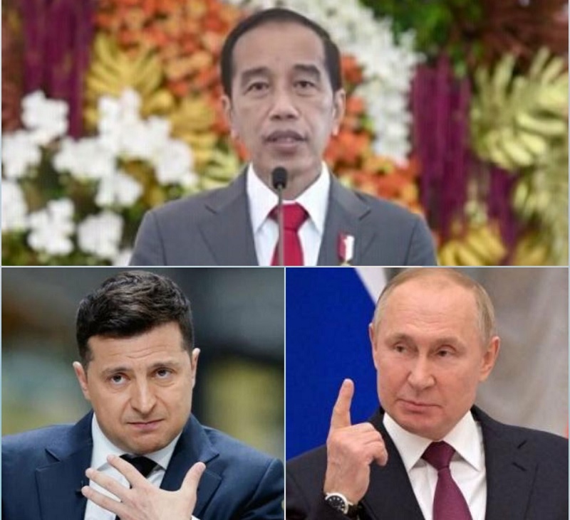 Hasanuddin: Rencana Jokowi ke Ukraina-Rusia Sangat Strategis