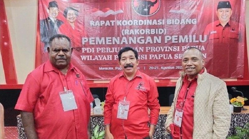 Elisa Kambu Jadi Panglima Perang Pemilu di Papua Selatan 