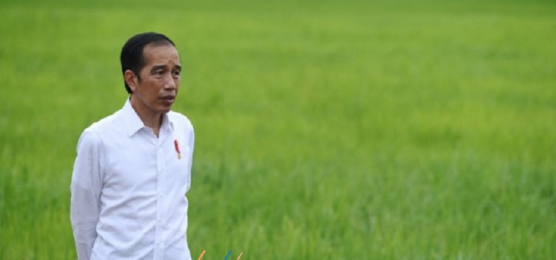 Hari Tani Nasional, Jokowi: Pertanian Berkontribusi Besar 