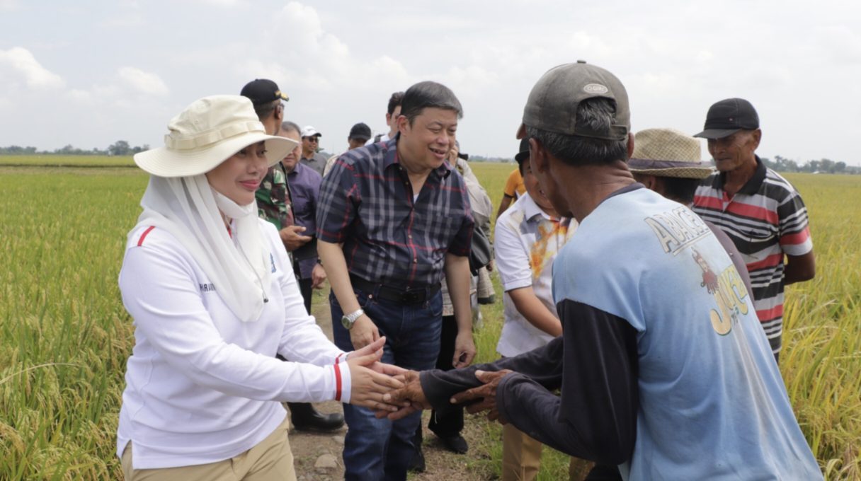 Komisi IV DPR RI Dorong Investasi untuk Penguatan Sektor Pertanian