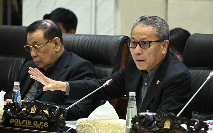 Dolfie Tegaskan  Tugas Utama Danantara Adalah Menarik Investor