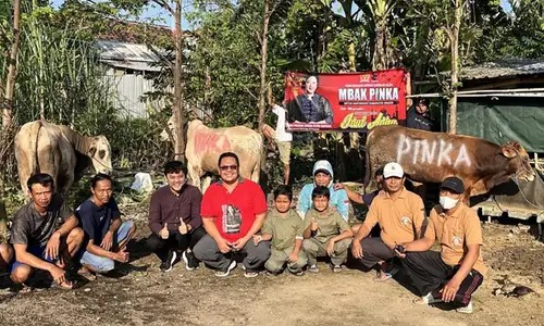 Diah Pikatan Orissa Putri Haprani Berkurban 12 Ekor Sapi di Dapil IV Jateng