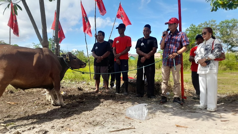 Arton Tegaskan Kurban Sebagai Bagian Komitmen PDI Perjuangan Jaga Nilai-nilai Gotong Royong