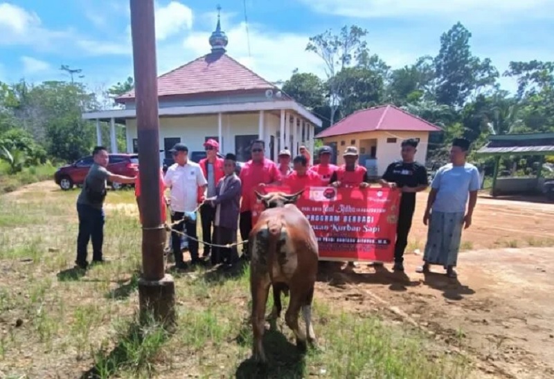 Deddy Sitorus Safari Penyerahan Hewan Kurban Berakhir di Masjid Baiturahim KTT