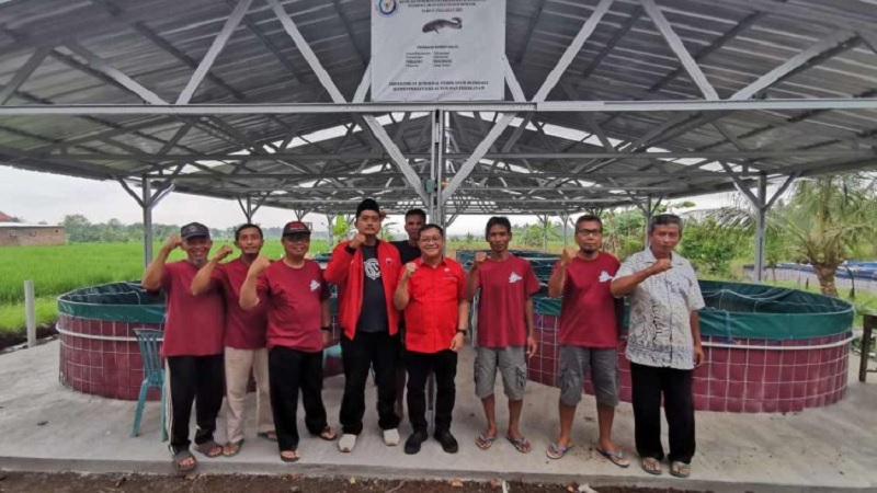Sonny Kembali Salurkan Bantuan ke Pembudidaya Lele Bioflok Sumber Mulyo Glenmore