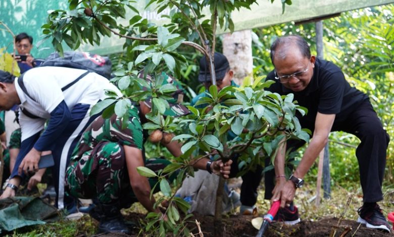 Koster Yakini Penanaman Pohon yang Rutin Dapat Wujudkan Target Tutupan Hutan