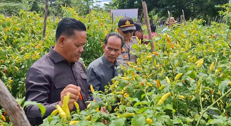Paolus Hadi Serahkan Bantuan Benih Padi dan Jagung ke Poktan di Dusun Ranti Pendek, Desa Gembaraya, Kec Kelam Permai