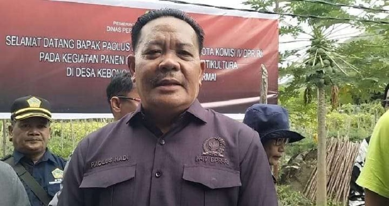 Paolus Hadi Ajak Petani Sintang Terus Semangat Berproduksi dan Jaga Kualitas Hasil Pertanian