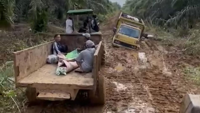 Edi Purwanto: Kasus Jasad Dibawa Traktor di Jambi Memilukan, Desak Pemda Segera Perbaiki