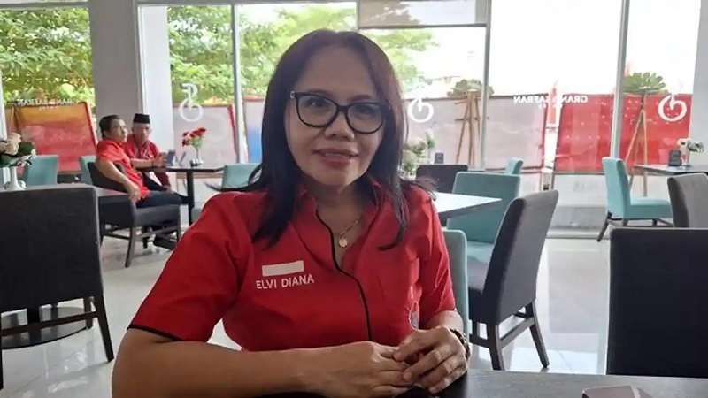 Elvi Diana Ingatkan OJK: Jangan Biarkan Masyarakat Terjebak ‘Saham Gorengan’ dan Pinjol Ilegal di Tengah Fluktuasi Timah