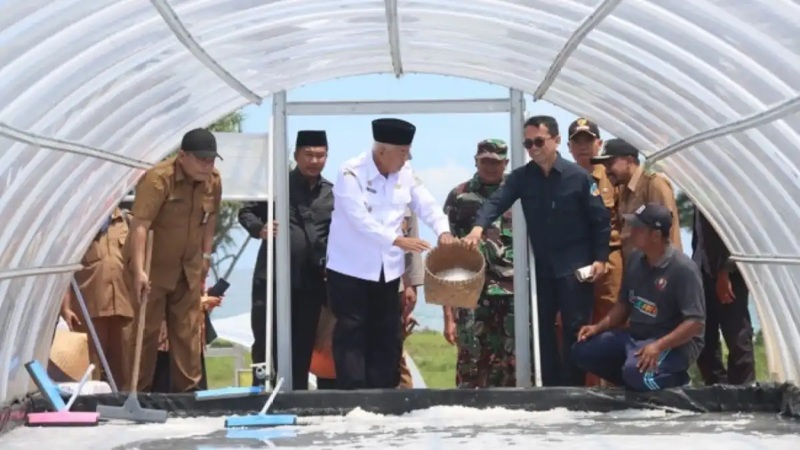 HM Sanusi: Inovasi Produksi Garam Dengan Metode Tunnel Cara yang Tepat