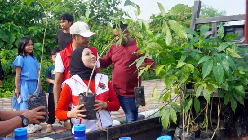 Jalani Perintah Ketum untuk Rawat Pertiwi, PDI Perjuangan Kendari Tanam 200 Tabebuya